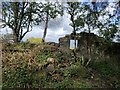 The ruins of a building in the walls surrounding Hawarden Park in CH4 0EQ