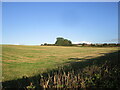 Stubble field and Sampson's Lane Farm in Pleasley Ward