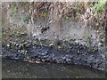 Detail of stratigraphy in the river bank in SY22 6UD