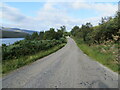 Minor road beside Loch Lurgainn near to Linneraineach in IV26 2XY
