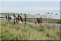 Hadleigh Ray from Two Tree Island, looking seaward in SS8 8PE