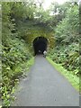 The tunnel at Grenofen on Drake's Trail in PL19 9EW