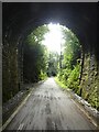 Southern exit from the tunnel at Grenofen on Drake's Trail in PL19 9EW