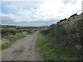 Field access track from Cilthrew farm in SY22 6UD