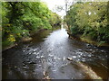 The Vyrnwy from a footbridge in SY22 6TH