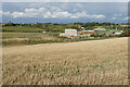 Harvested field near Blackwell in DE55 5JY
