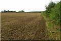 Ploughed field looking towards the water tower in SG19 2DP