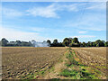 Autumn fields and bonfire smoke in SG8 7QT