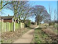 Footpath in Walkington in HU17 8TP