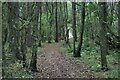 Path through woods, south of Potterne Park in BH21 6RN