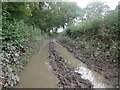 A very muddy bridleway in TN8 6SD