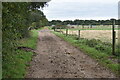Bridleway near Homeland Farm in BH21 6FA