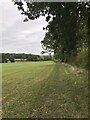 Bridleway near East Norton in East Norton