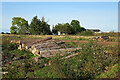 Felled Forest in IV32 7PR