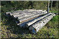 Log Pile in IV32 7PR