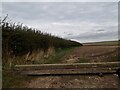 Field off Grindale Lane in Bridlington Central and Old Town Ward