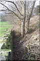 Footpath blocked by vegetation in HD8 0TU