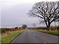Long straight road near Upper Morton B6420 in DN22 8HH