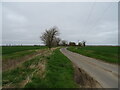 Minor road, Ewerby Fen in Kirkby la Thorpe & South Kyme Ward