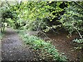 Path by disused canal in GL6 7PB