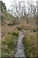 Footpath, Swife Wood in TN21 8UG