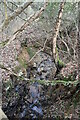 Small woodland stream in TN21 8UG