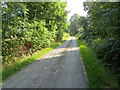 Tree enclosed minor road at Invercharron in IV24 3BN