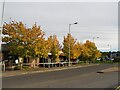 Autumn colour at Macdonald's Restaurant in S66 2TR
