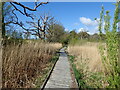 Boardwalk in Meathop Moss in LA11 6RE
