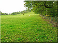 Field at the edge of Carr Wood, Farnley Tyas in HD4 6UJ