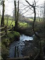 Stream junction in EX38 8NG