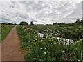Burlescombe : Grand Western Canal in EX16 7HE