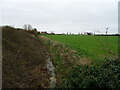 The Beck, Great Hale in Great Hale