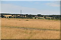 Brown grassland in TN25 7BP