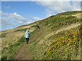 Maidenhall - Coast Path in SA62 6BD