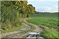 Farm track beside Monarch's Way in SP3 5HE