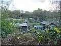 Darklands Lane Allotments in DE11 0AS
