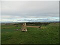 Trig pillar on Skid Hill in EH39 5BB