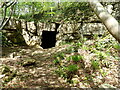 Cave entrance, Brown's Folly Nature Reserve in BA1 7SA