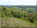 View downhill from Browne's Folly Nature Reserve in BA1 7SA