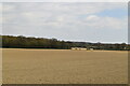 Ploughed field in TN26 3RF
