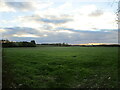 Grass field at Keythorpe in Tugby and Keythorpe