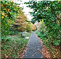 Path: Hillhouse Woodland in EH49 6PJ