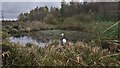 Pond at Western Edge of Hardhill Wood in EH48 2UH