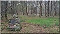 Cairn in Hardhill Wood in EH48 2UH