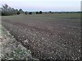 Field in Great Waltham in CM3 1AY