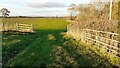 Gateway between fields at western edge of Potterpits Plantation in CA4 0RJ