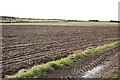 Ploughed Field in DD5 3QJ