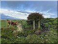 Broomfield Farm Trig Point Flush Bracket S4559 in NE17 7AU