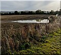 Pond in a brown field, Great Oldbury, Gloucestershire in GL10 3XP